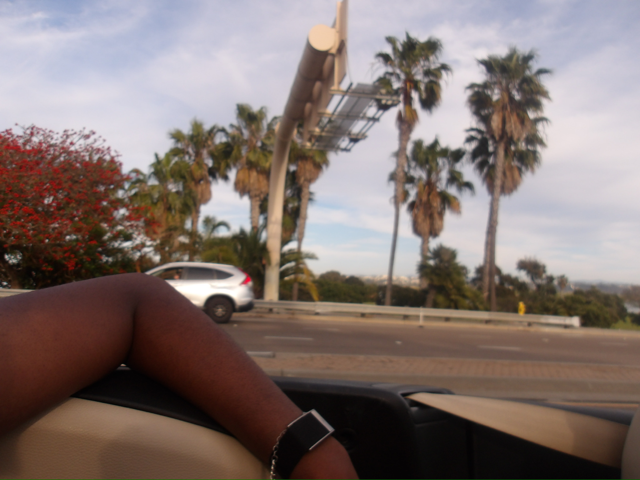 CALIFORNIA SPRING 26 photo